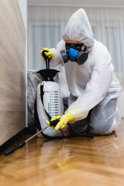 Best Bed Bug Extermination  in Waterloo, IA